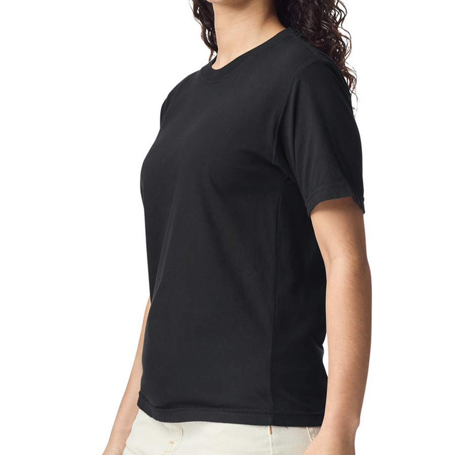 Comfort Colors® Heavyweight Adult Tee 1717