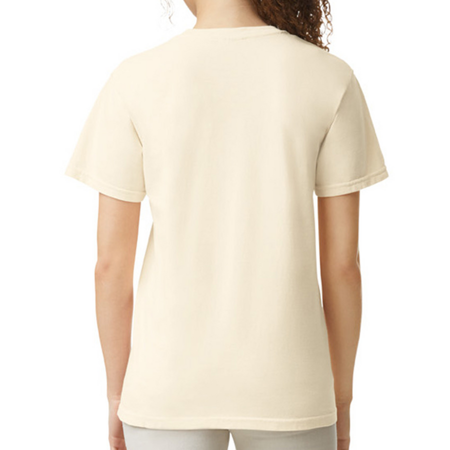 Comfort Colors® Heavyweight Adult Tee 1717