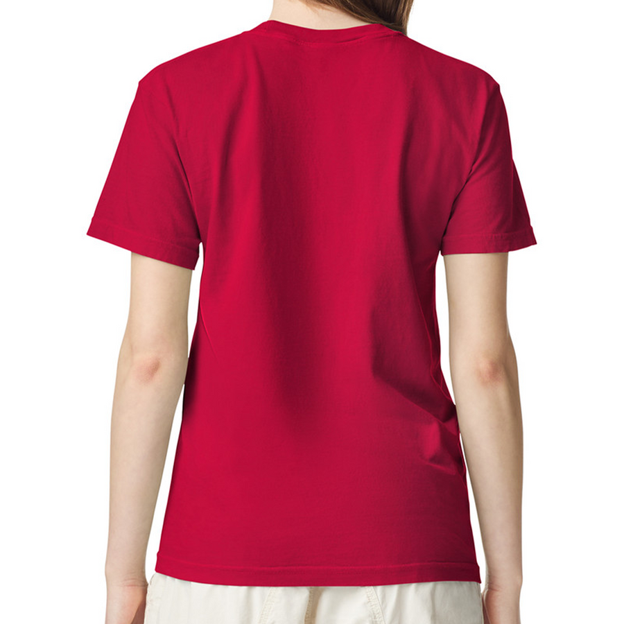 Comfort Colors® Heavyweight Adult Tee 1717