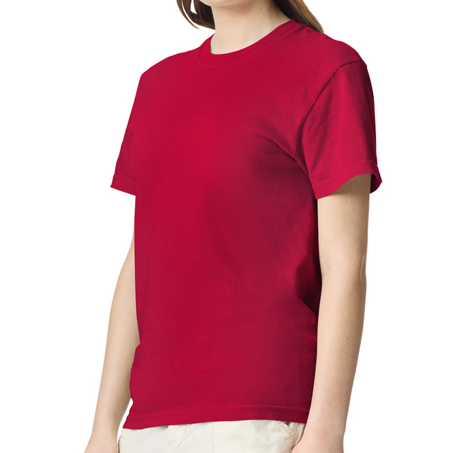 Comfort Colors® Heavyweight Adult Tee 1717
