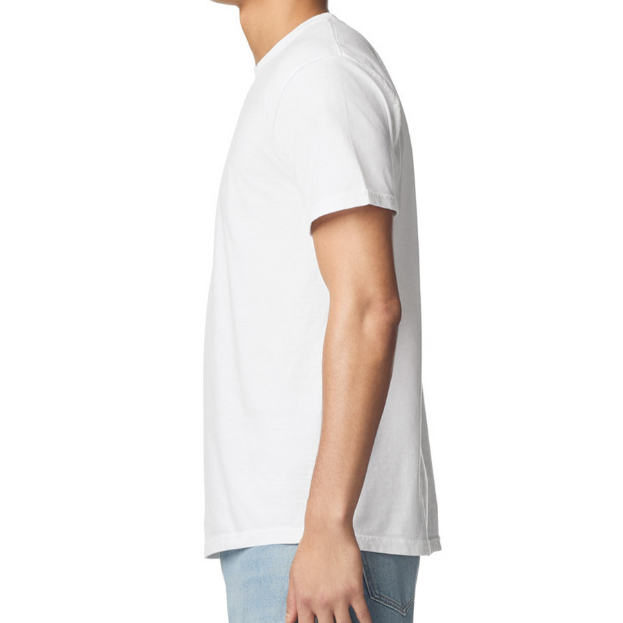 Comfort Colors® Heavyweight Adult Tee 1717
