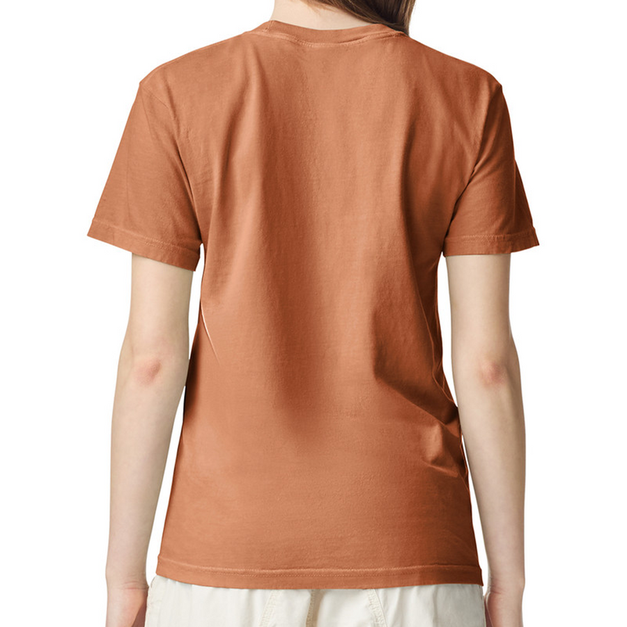 Comfort Colors® Heavyweight Adult Tee 1717
